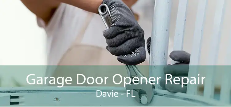 Garage Door Opener Repair Davie - FL