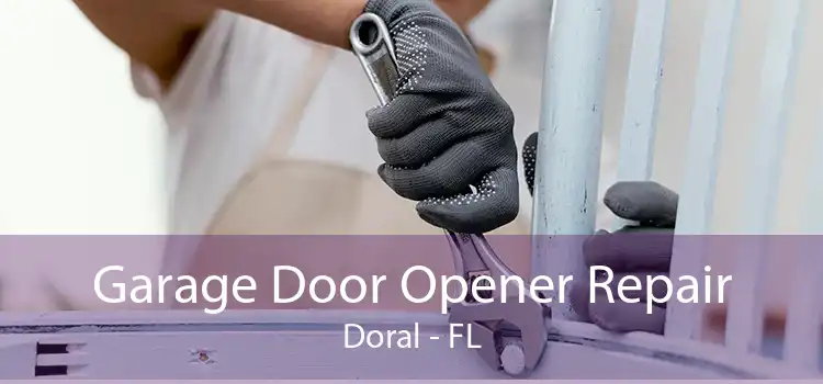 Garage Door Opener Repair Doral - FL