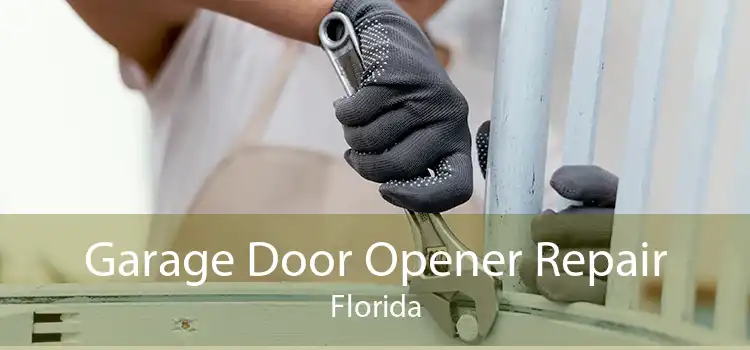 Garage Door Opener Repair Florida