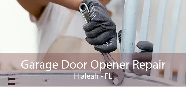 Garage Door Opener Repair Hialeah - FL