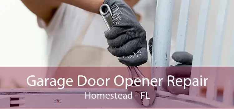 Garage Door Opener Repair Homestead - FL