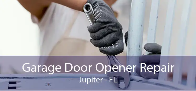 Garage Door Opener Repair Jupiter - FL