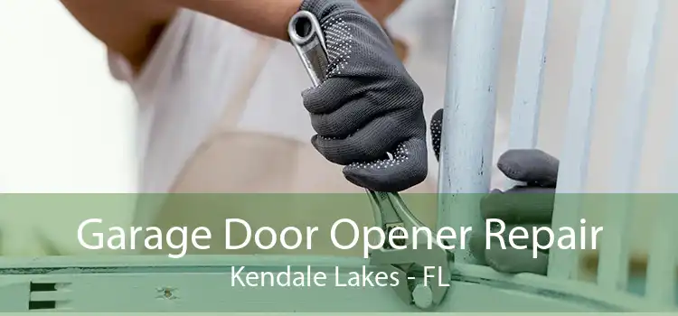 Garage Door Opener Repair Kendale Lakes - FL