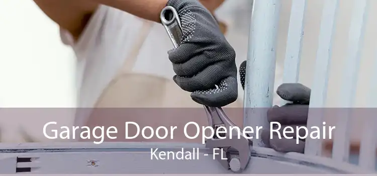 Garage Door Opener Repair Kendall - FL