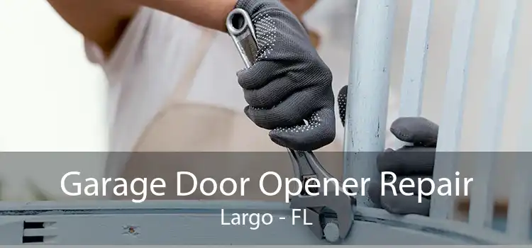 Garage Door Opener Repair Largo - FL