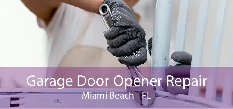 Garage Door Opener Repair Miami Beach - FL
