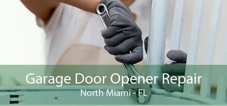 Garage Door Opener Repair North Miami - FL