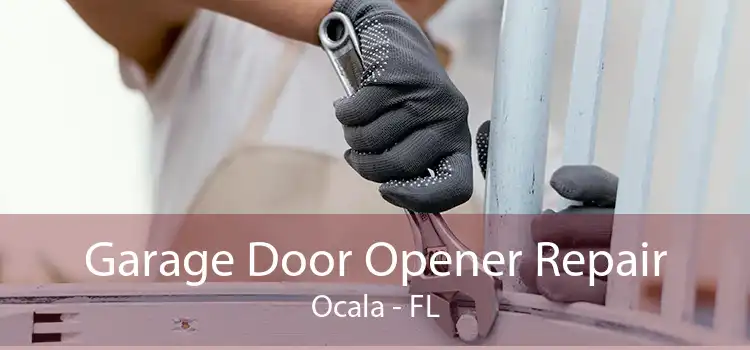 Garage Door Opener Repair Ocala - FL