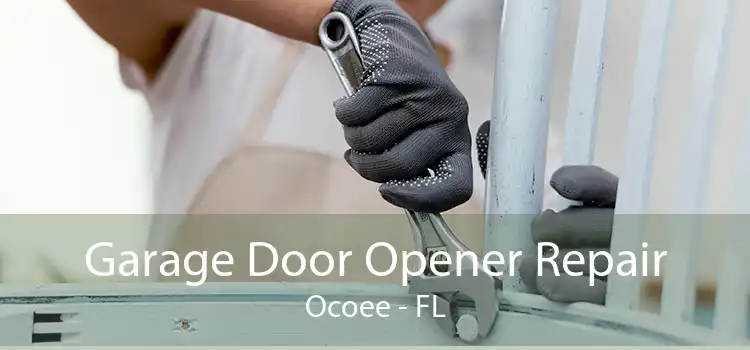Garage Door Opener Repair Ocoee - FL