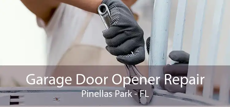 Garage Door Opener Repair Pinellas Park - FL