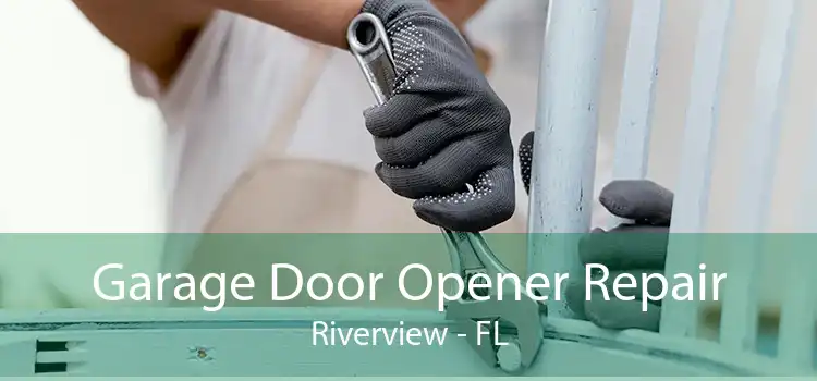 Garage Door Opener Repair Riverview - FL