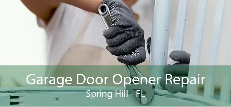 Garage Door Opener Repair Spring Hill - FL