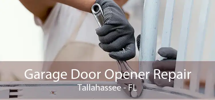 Garage Door Opener Repair Tallahassee - FL