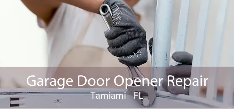 Garage Door Opener Repair Tamiami - FL