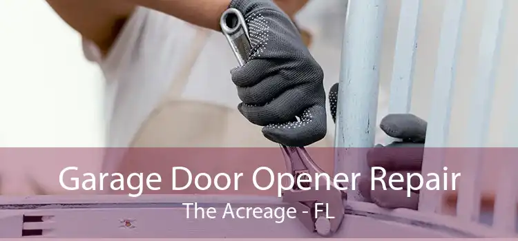 Garage Door Opener Repair The Acreage - FL