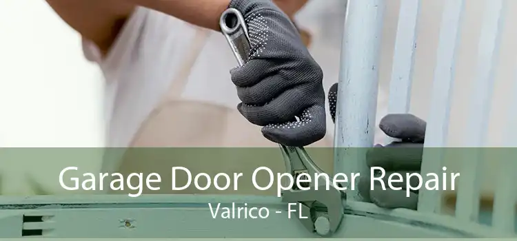 Garage Door Opener Repair Valrico - FL