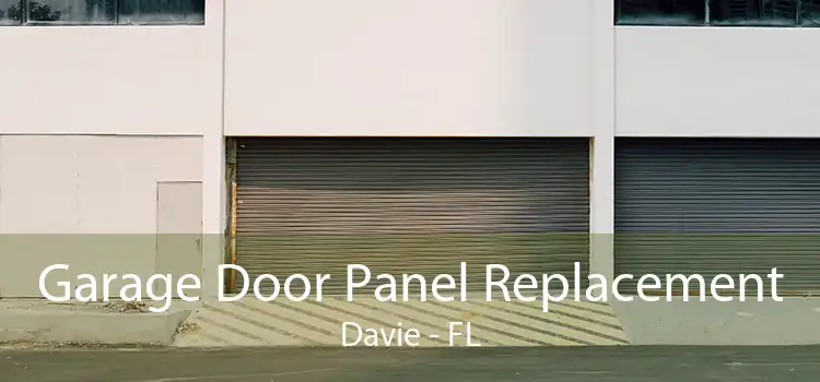 Garage Door Panel Replacement Davie - FL
