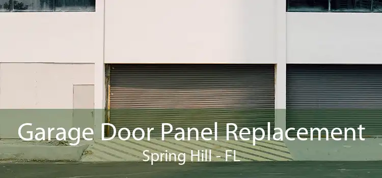Garage Door Panel Replacement Spring Hill - FL