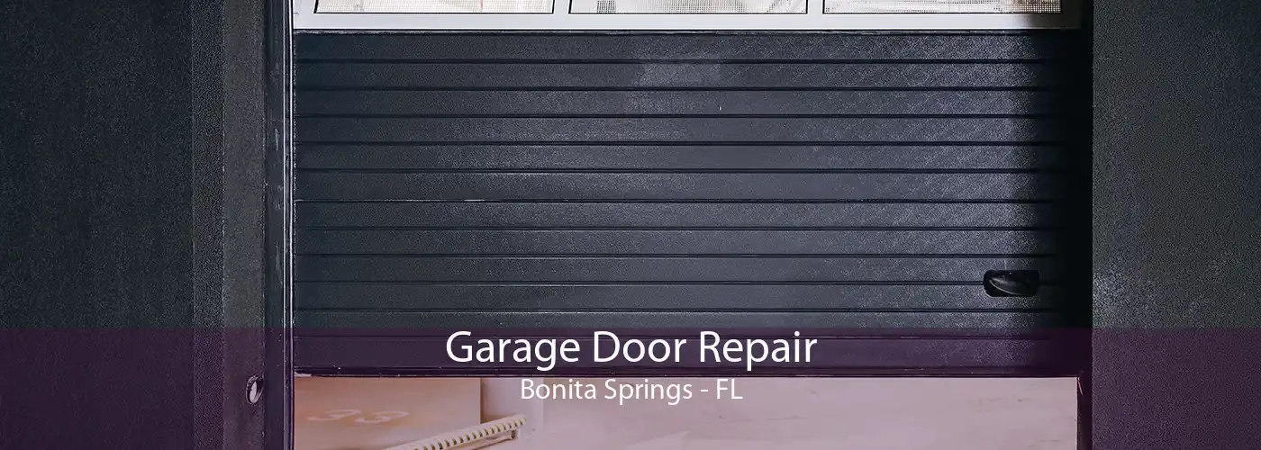 Garage Door Repair Bonita Springs - FL