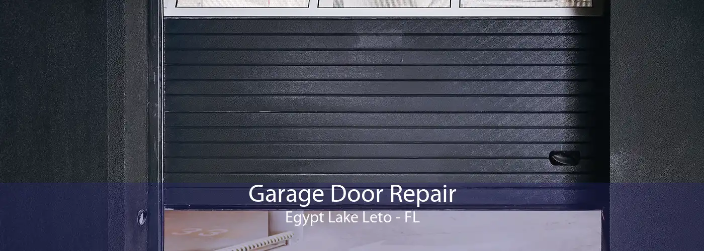 Garage Door Repair Egypt Lake Leto - FL