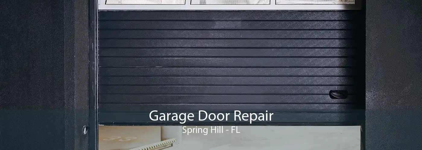 Garage Door Repair Spring Hill - FL