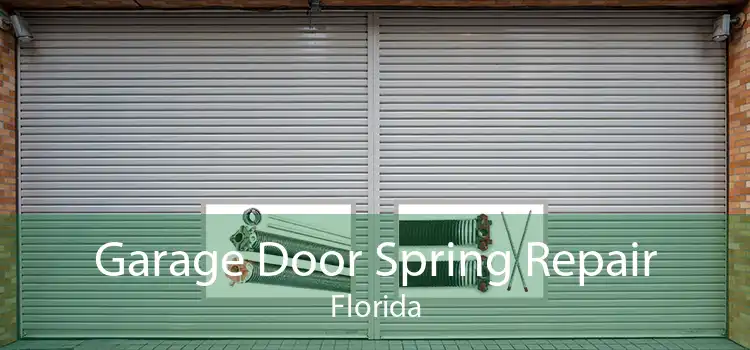 Garage Door Spring Repair Florida