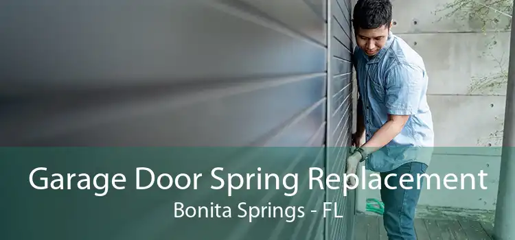 Garage Door Spring Replacement Bonita Springs - FL