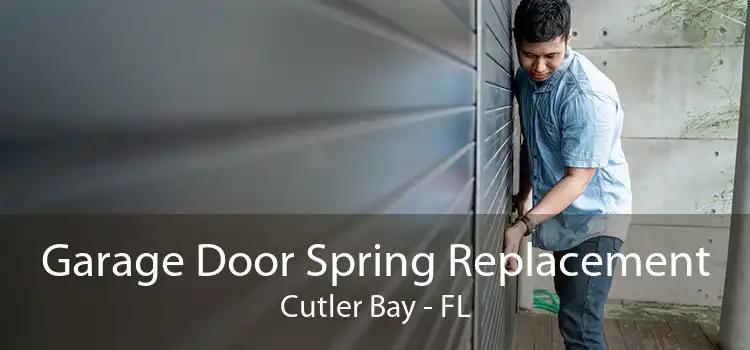 Garage Door Spring Replacement Cutler Bay - FL
