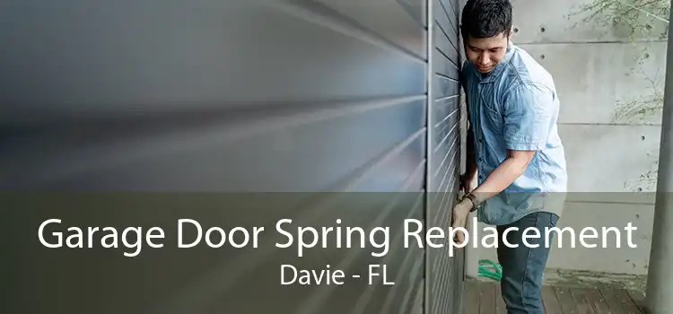 Garage Door Spring Replacement Davie - FL