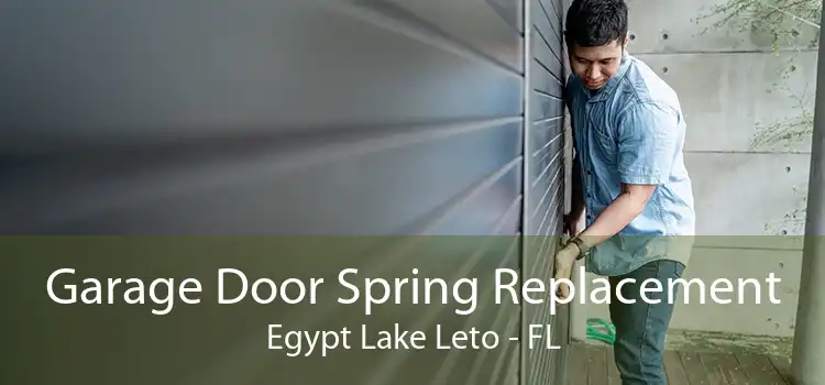 Garage Door Spring Replacement Egypt Lake Leto - FL
