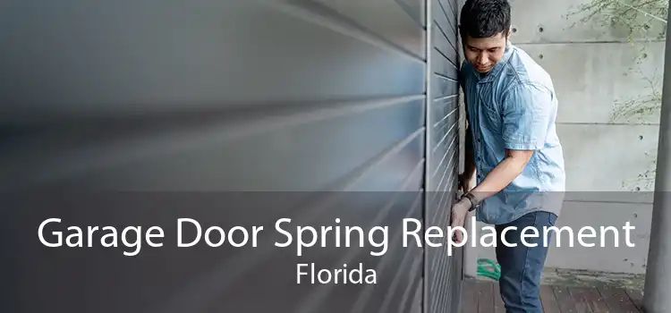 Garage Door Spring Replacement Florida