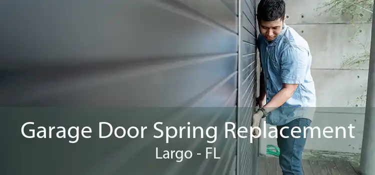 Garage Door Spring Replacement Largo - FL