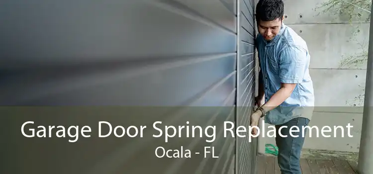 Garage Door Spring Replacement Ocala - FL