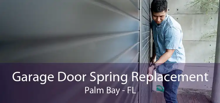 Garage Door Spring Replacement Palm Bay - FL