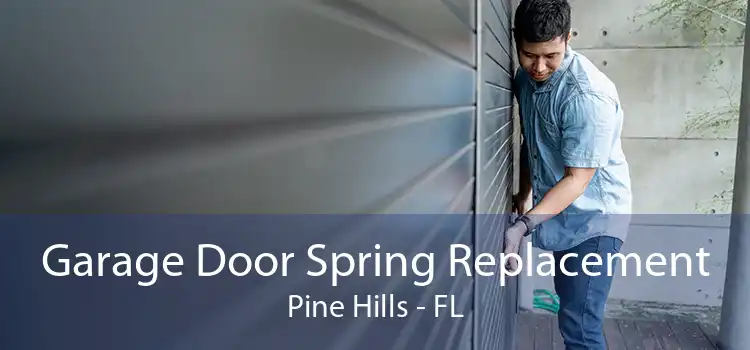 Garage Door Spring Replacement Pine Hills - FL