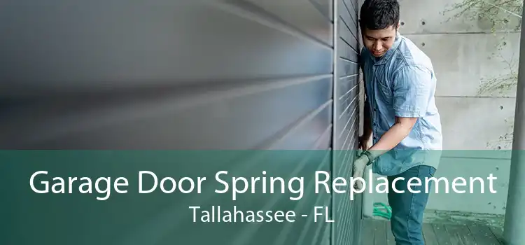 Garage Door Spring Replacement Tallahassee - FL