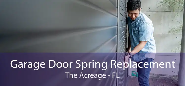 Garage Door Spring Replacement The Acreage - FL