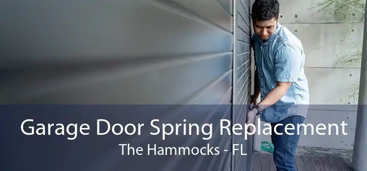 Garage Door Spring Replacement The Hammocks - FL