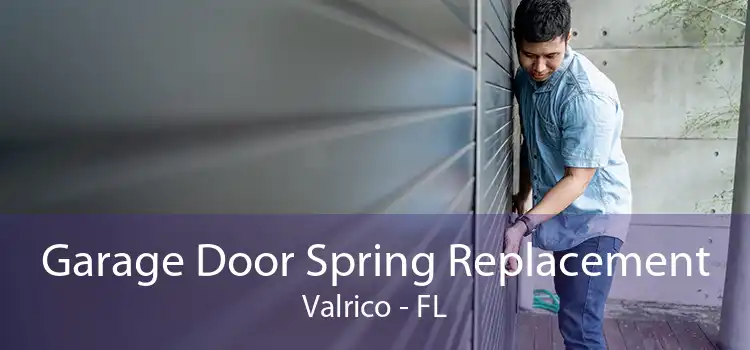Garage Door Spring Replacement Valrico - FL