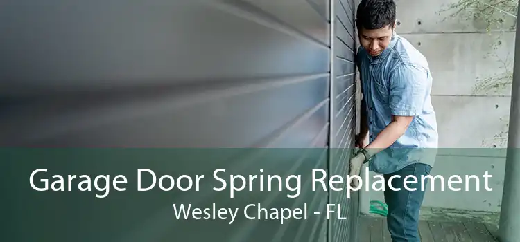 Garage Door Spring Replacement Wesley Chapel - FL